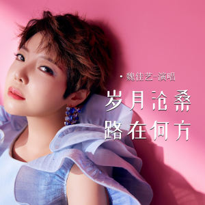 Album 岁月沧桑路在何方 from 魏佳艺
