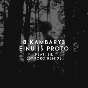 อัลบัม Einu Iš Proto (Dynoro Remix) ศิลปิน 8 Kambarys