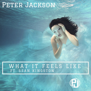 ดาวน์โหลดและฟังเพลง What It Feels Like (Explicit) พร้อมเนื้อเพลงจาก Peter Jackson