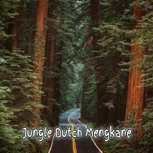 Dj Wibu的专辑Jungle Dutch Mengkane