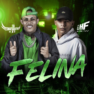 DJ MESQUITA DE NV的专辑MT FELINA, AI Meu Deus (Explicit)