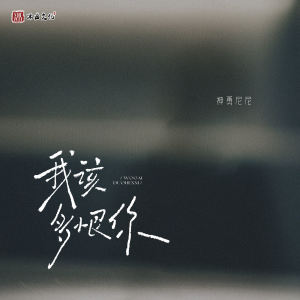 Album 我该多恨你 from 神勇尼尼