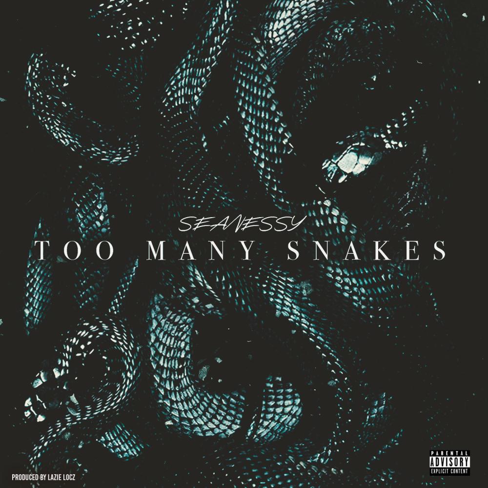 Too Many Snakes (feat. Lazie Locz) (Explicit)