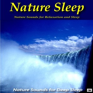 Dengarkan Rain Storm Relaxation lagu dari Nature Sounds for Relaxation and Sleep dengan lirik