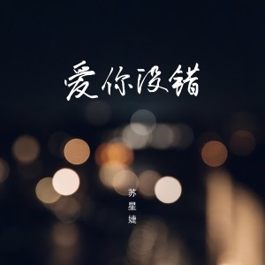 Listen to 爱你没错 (完整版) song with lyrics from 苏星婕