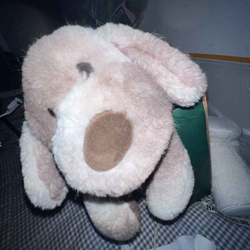 王告告
