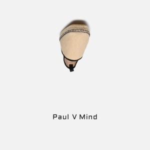 Paul V的专辑Mind