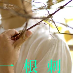 ดาวน์โหลดและฟังเพลง 一根刺 พร้อมเนื้อเพลงจาก ดารานักร้องหลายคน