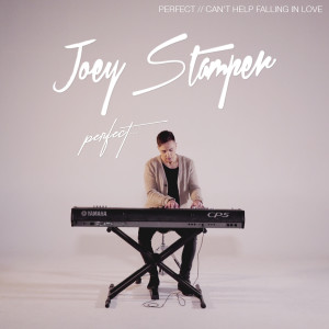 收听Joey Stamper的Perfect / Can't Help Falling in Love歌词歌曲
