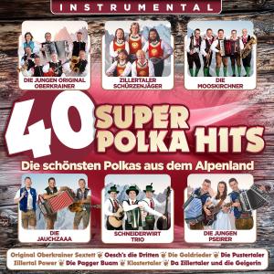 ดาวน์โหลดและฟังเพลง Trompeten Schnellimbiss พร้อมเนื้อเพลงจาก Original Zillertaler