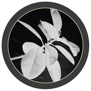 Guim的專輯Hylian Jams - EP