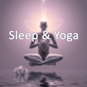 อัลบัม Sleep & Yoga ศิลปิน Yoga Tribe