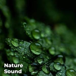 Album Rain Sounds for Sleeping oleh Heal Your Soul