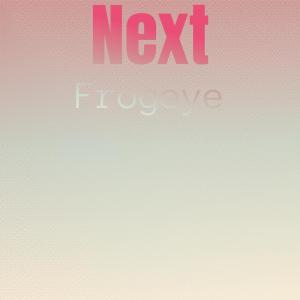 Various Artists的專輯Next Frogeye