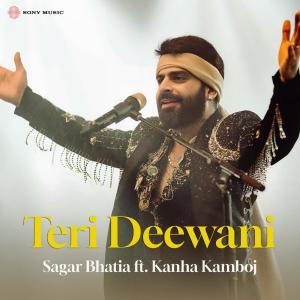 收聽Sagar Bhatia的Teri Deewani (Sufi Version)歌詞歌曲
