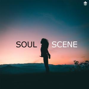 Album Soul Scene from Various