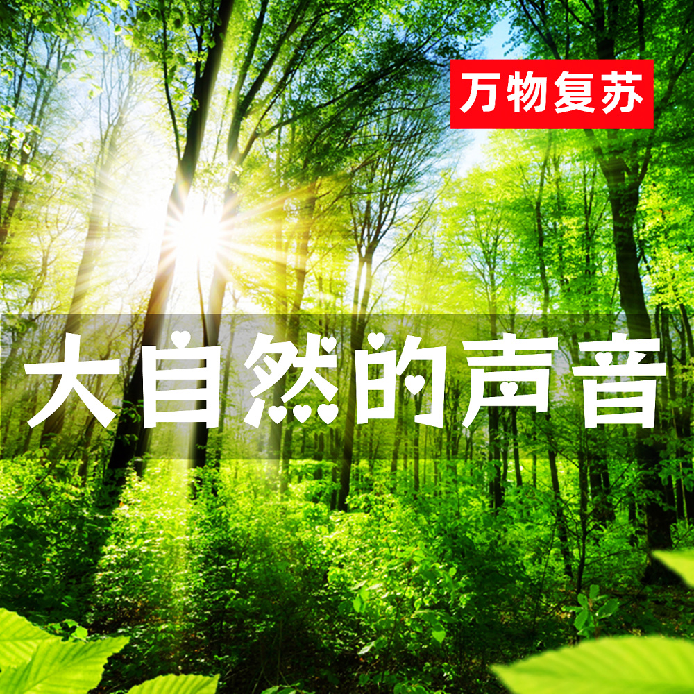 欢快的大自然 (轻松舒心)