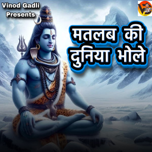 Album Matlab Ki Duniya Bhole from Vinod gadli