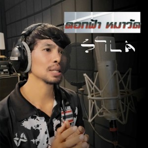 Dengarkan lagu ดอกฟ้า หมาวัด nyanyian แต้ ศิลา dengan lirik
