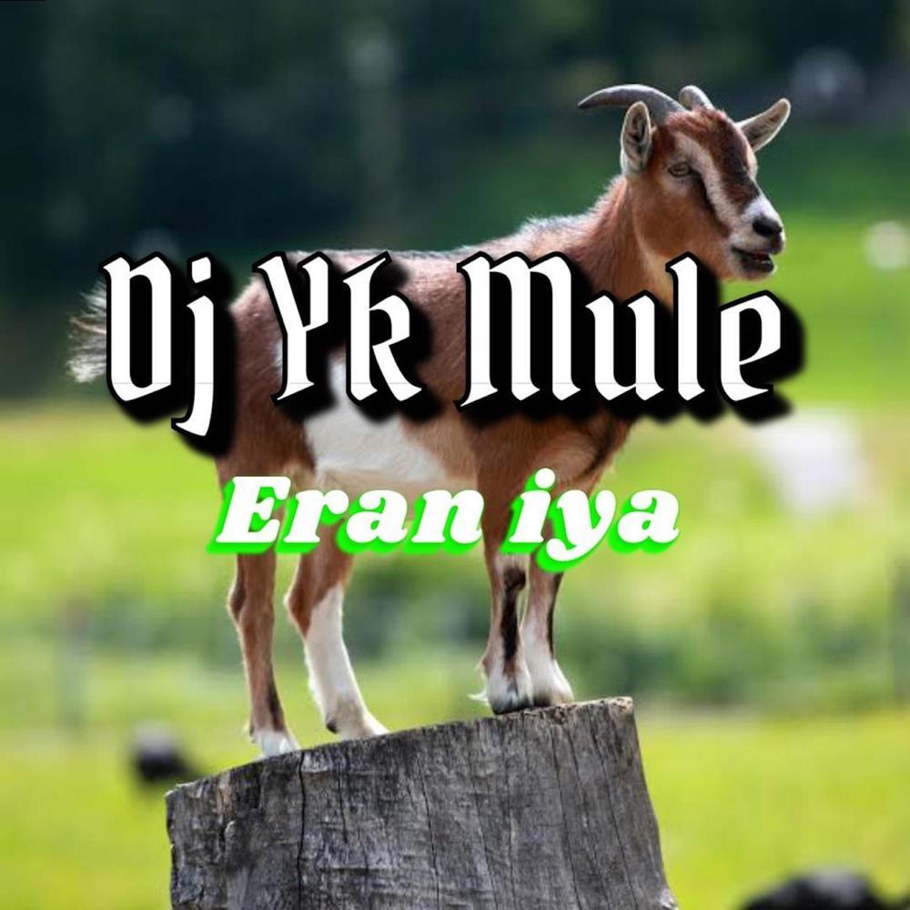 Eran Iya