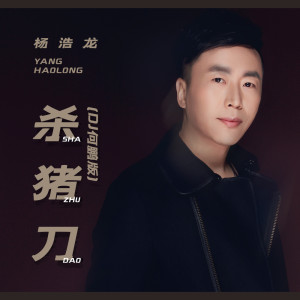 Album 杀猪刀(DJ何鹏版) oleh 杨浩龙