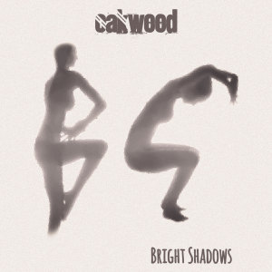 ดาวน์โหลดและฟังเพลง Stereo Hearts พร้อมเนื้อเพลงจาก Oakwood