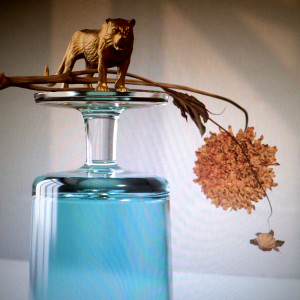 Listen to Gallipoli song with lyrics from Beirut