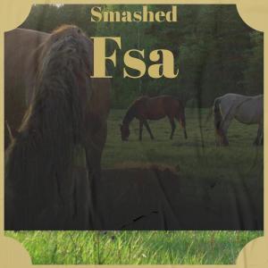 Various Artists的專輯Smashed Fsa
