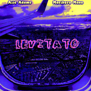 收听Alic Adams的Levitato歌词歌曲