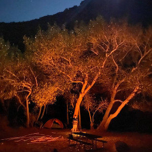 ดาวน์โหลดและฟังเพลง Ember พร้อมเนื้อเพลงจาก Distant Cowboy