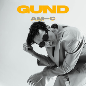 Listen to Sunflower song with lyrics from AM-C