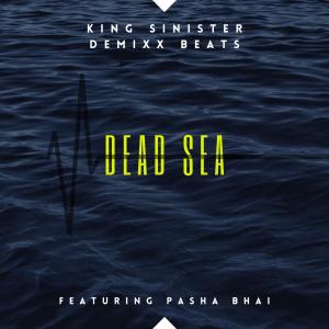 的專輯DEAD SEA (feat. Pasha Bhai)