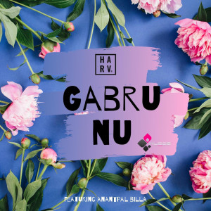 ดาวน์โหลดและฟังเพลง Gabru Nu พร้อมเนื้อเพลงจาก DJ Harv