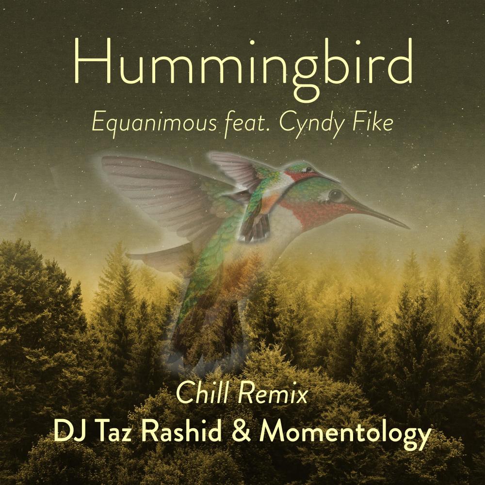 Hummingbird Chill Mix(feat. Cyndy Fike) (DJ Taz Rashid & Momentology Remix)