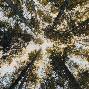 Listen to Hope song with lyrics from Sleep Sound Library