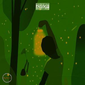 Dengarkan lagu Fireflies (feat. rebel child) (Explicit) nyanyian Tony Kane 1-6 dengan lirik