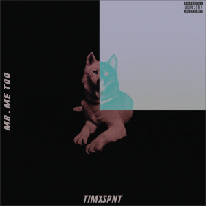 TIMXSPNT的專輯Mr. Me Too (Explicit)