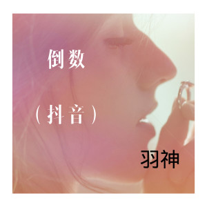 Listen to 倒数 (抖音热播版) (抖音熱播版) song with lyrics from 羽神