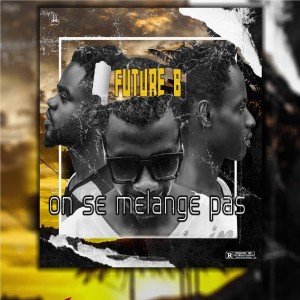 Listen to On se mélange pas song with lyrics from Future B