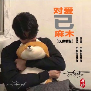 Listen to 对爱已麻木（DJ林祥版） (完整版) song with lyrics from 小东北