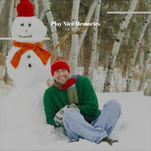 Album Play Nice Memories from 