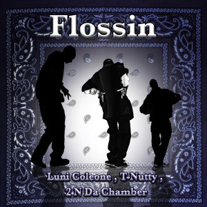 2 N Da Chamber的專輯Flossin (Explicit)