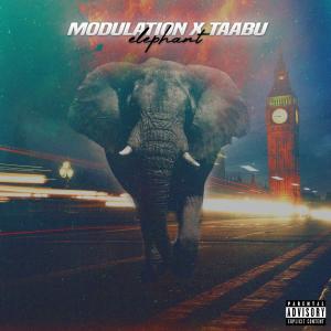 收聽Modulation的Elephant (Explicit) (Explicit)歌詞歌曲