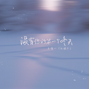 Album 没有你的第一个冬天 from 王唯一