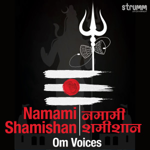 Om Voices的專輯Namami Shamishan - Rudrashtakam