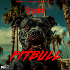 Shokryme的專輯Pitbull (Explicit)