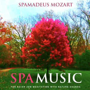 อัลบัม Spa Music for Asian Zen Meditation With Nature Sounds ศิลปิน Spamadeus Mozart