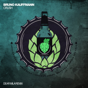 ดาวน์โหลดและฟังเพลง Crush (Dear Mila Extended Remix) พร้อมเนื้อเพลงจาก Bruno Kauffmann