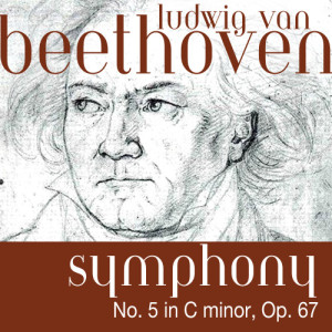 收聽The Fine Classic Orchestra的Symphony No. 5 in C minor, Op. 67, Allegro con brio歌詞歌曲