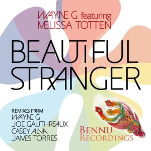 ดาวน์โหลดและฟังเพลง Beautiful Stranger (feat. Melissa Totten) [Wayne G & Andy Allder Instrumental] พร้อมเนื้อเพลงจาก Wayne G
